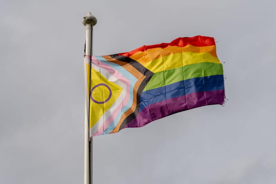 pride flag meanings intersex inclusive pride progress flag on a flag pole with a grey cloud background