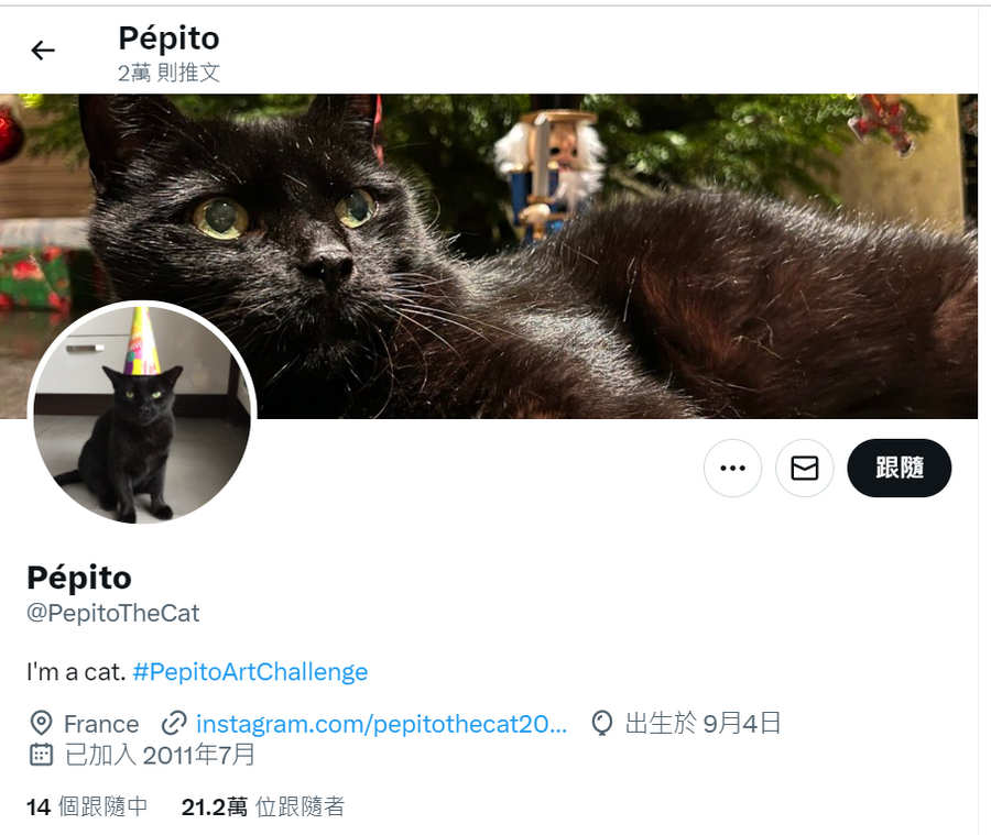 pepitothecat.png 圖/Twitter @PepitoTheCat