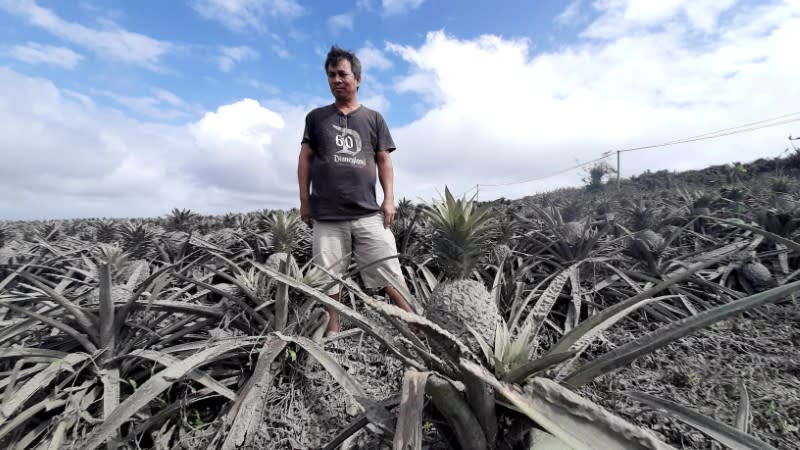 Farmer Jack Imperial, 49, poses for a portrait in his pineapple plantation covered with ash from the erupting Taal Volcano