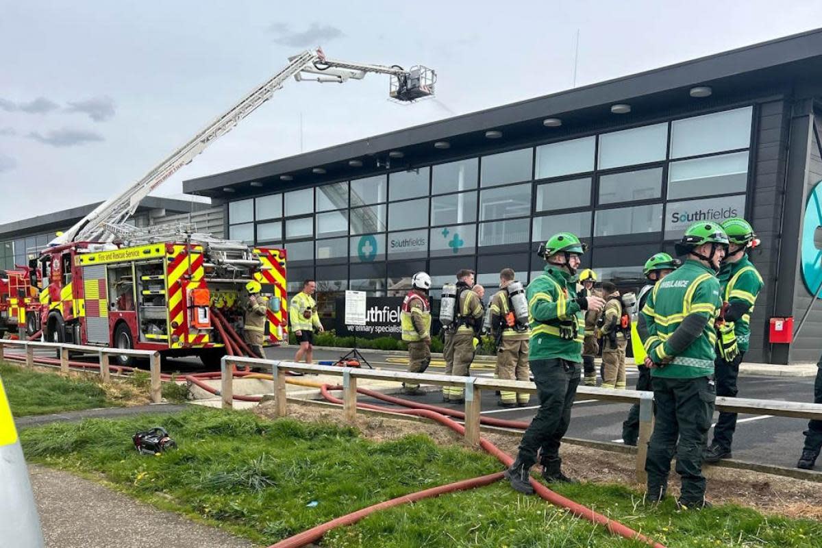 Coordinated - Essex Police said the animal rescue was a "prime example" of emergency services working together <i>(Image: Essex Police)</i>