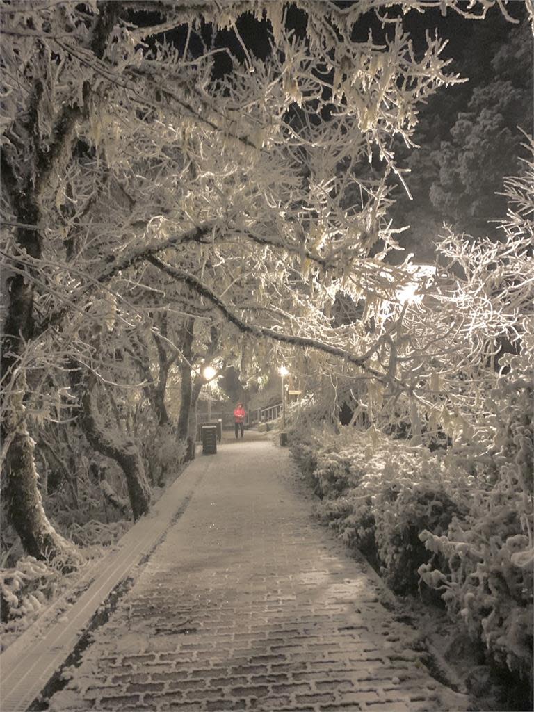 寒流來襲，太平山下雪。（圖／民視新聞）