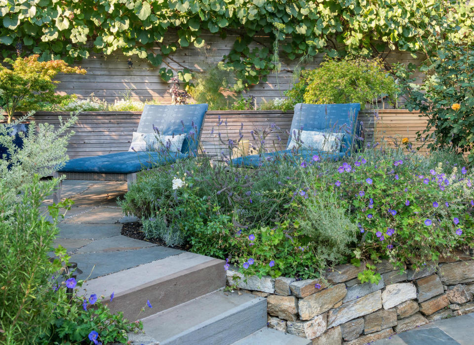 A backyard with two deckchairs and seat cushions