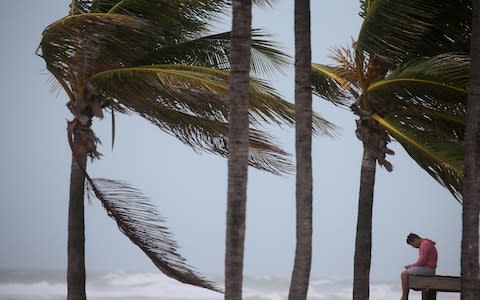 A man sits on a life guard tower as the wind blows at the beach in advance of Hurricane Irma's expected arrival in Hollywood, Florida - Credit: CARLO ALLEGRI