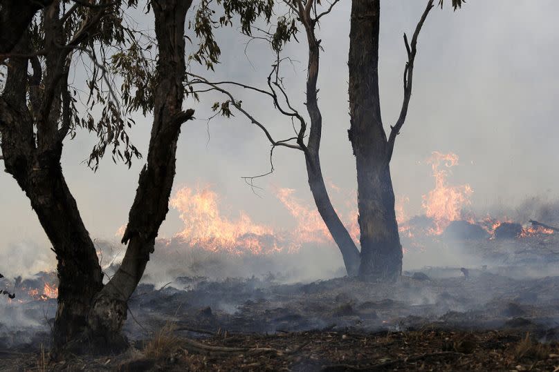 Un incendio localizado cerca de Bredbo, al sur de la capital australiana, Canberra, durante los devastadores incendios forestales de 2020.