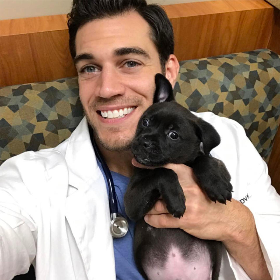 <p>"I don't get the pleasure of seeing absurdly cute puppies like this everyday but it's always a pleasant break from the intensity of challenging medicine and surgery patients," Antin writes of his shot with this sweet pit bull pup.</p>