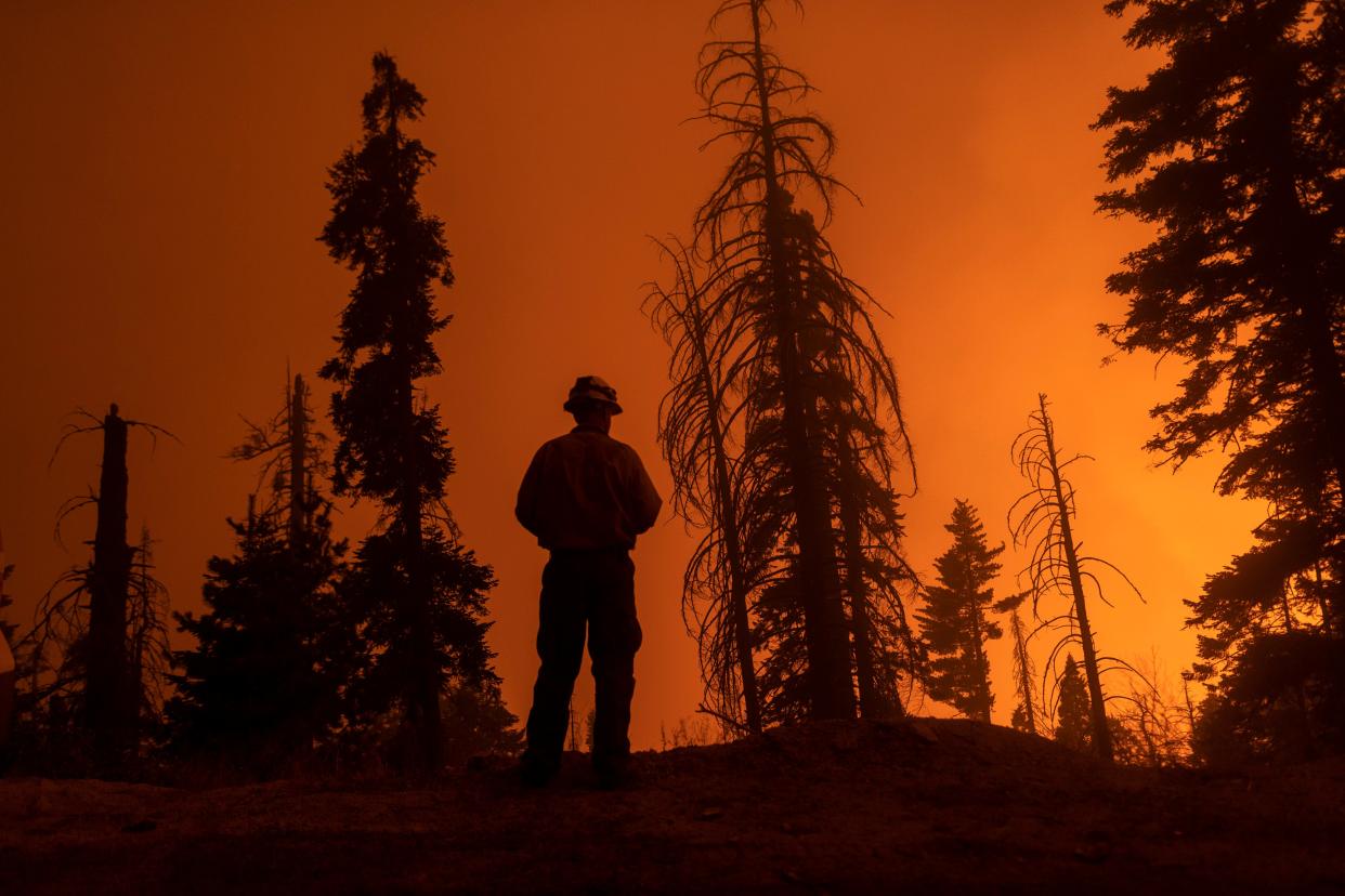 The Sequoia Complex Fire on 14 September, where Mexican crews have been dispatched to help (Getty Images)