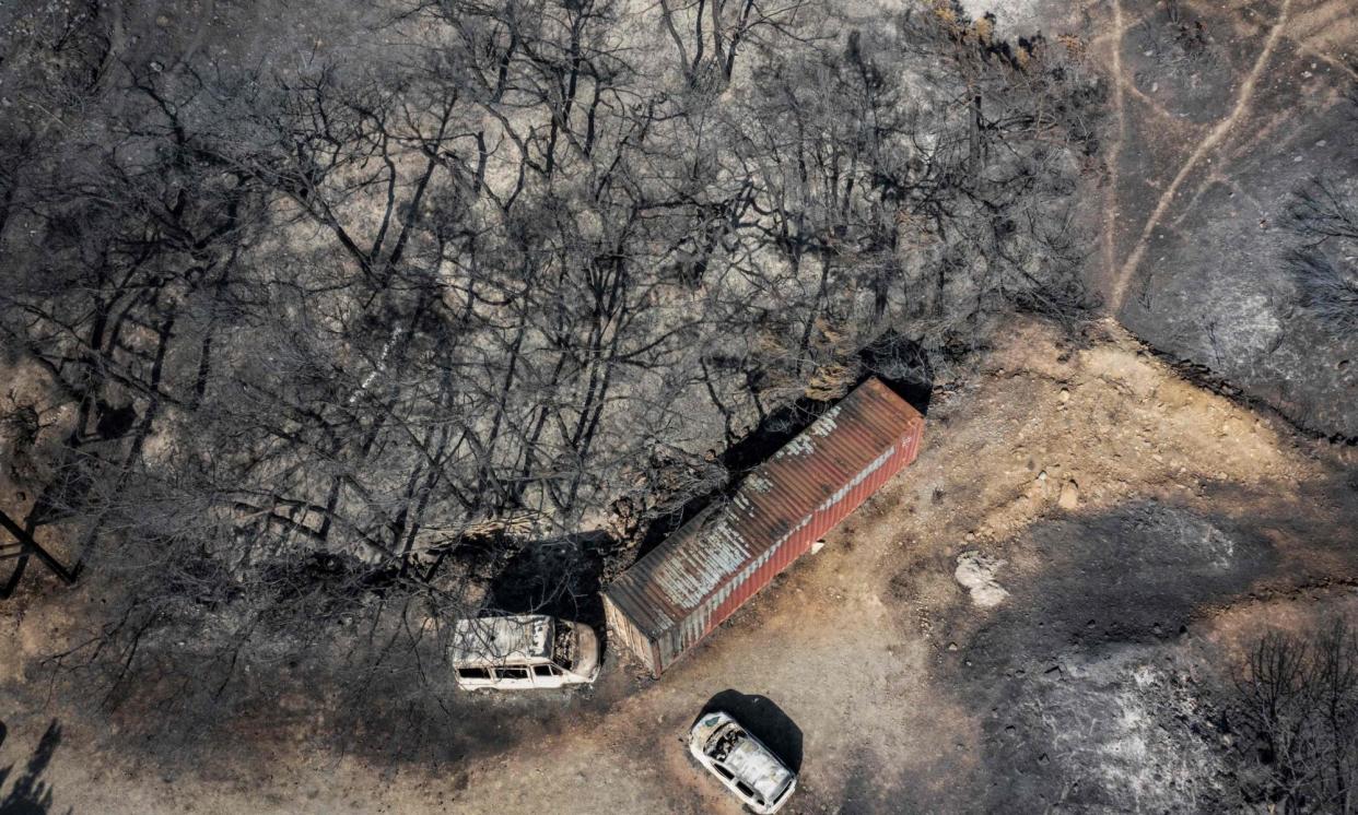 <span>Trees burned by wildfires in Rhodes, Greece, which was hit by the largest wildfire ever recorded in the EU, according to the report.</span><span>Photograph: Angelos Tzortzinis/AFP/Getty Images</span>