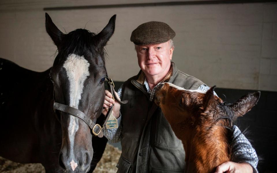 Former cricketer Andy Lloyd at his stud farm near Stratford-upon-Avon, Warwickshire