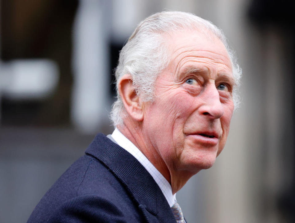 Profile of a smiling Charles in a suit at a public event