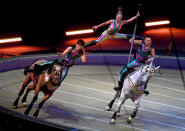 <p>The stunts involving horses (called the Cossack Riders) feature dramatic moves as the horses race at up to 25 miles per hour in a ring.<br> -After a 146 year run, the Ringling Bros. and Barnum & Bailey Circus will end with an evening performance at the Nassau Veterans Memorial Coliseum on Sunday, May 21st. ( Michael S. Williamson/The Washington Post via Getty Images) </p>