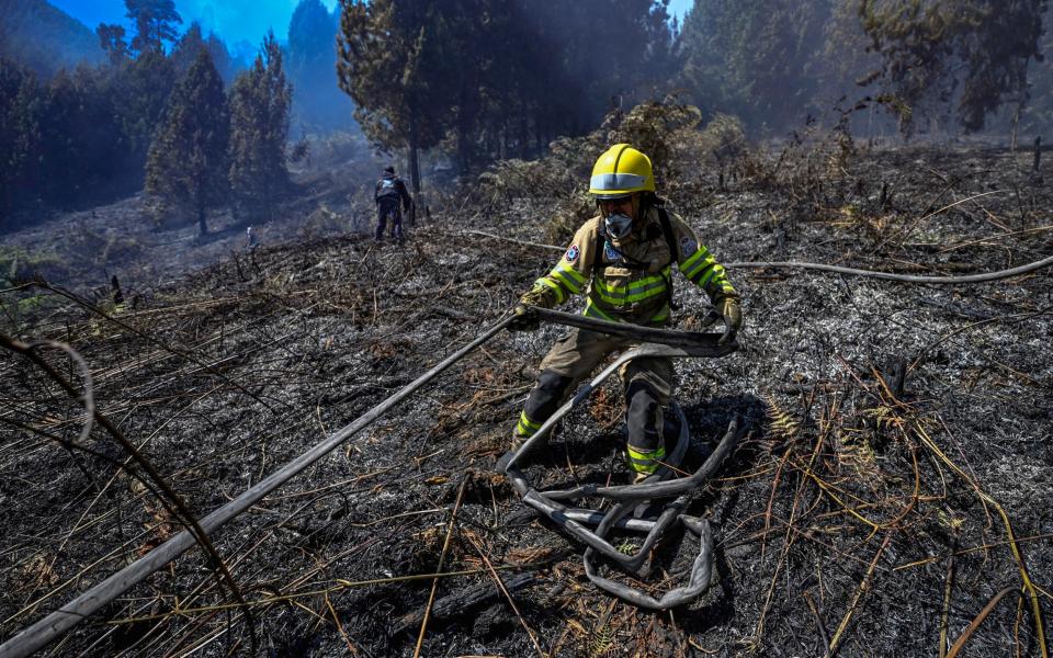 A firefighter tackles a forest fire in Nemocon