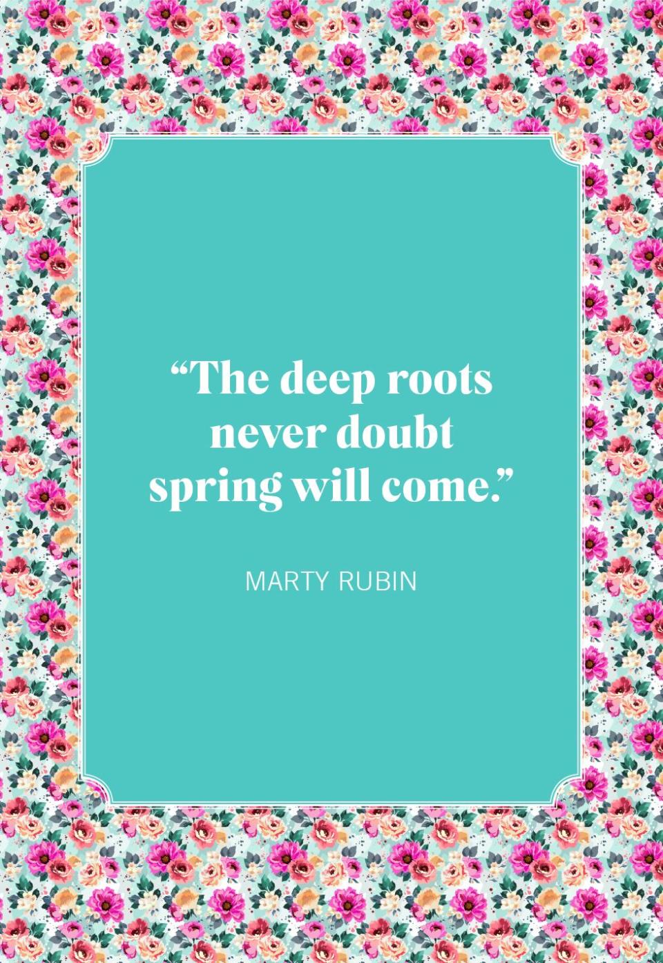 spring quotes marty rubin