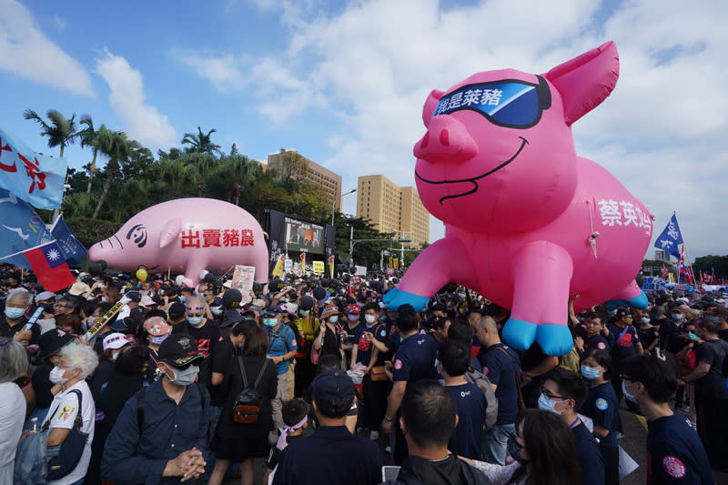 國民黨以反萊豬參與秋鬥遊行（1） (圖)