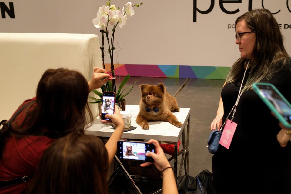 Inside PetCon 2018, the largest gathering of Insta-famous pets—and those aspiring to spon-con their sheepadoodle.