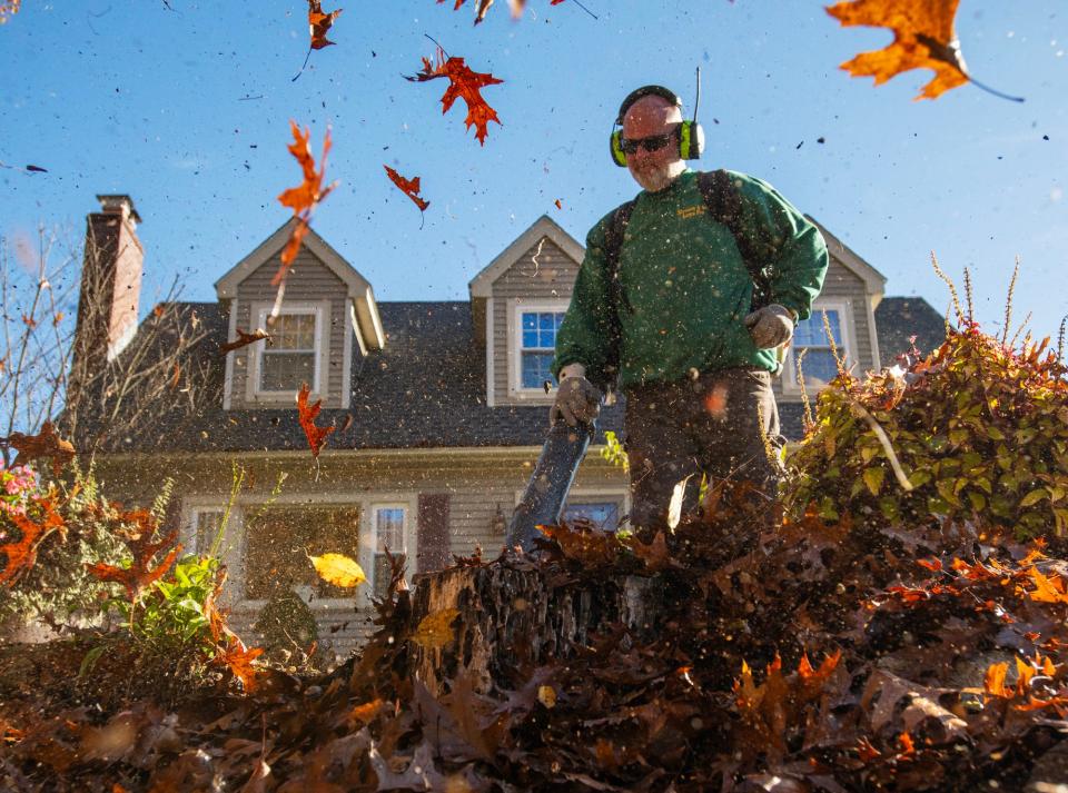 Landscaper Mark Stevens Jr. uses a gas-powered backpack leaf blower to clear a yard Tuesday.