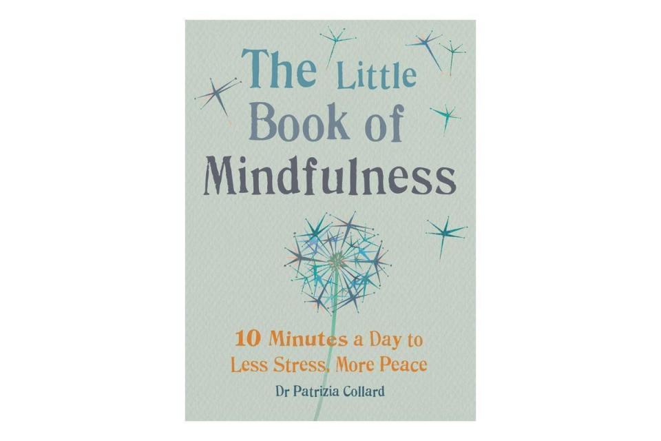 The Little Book of Mindfulness: 