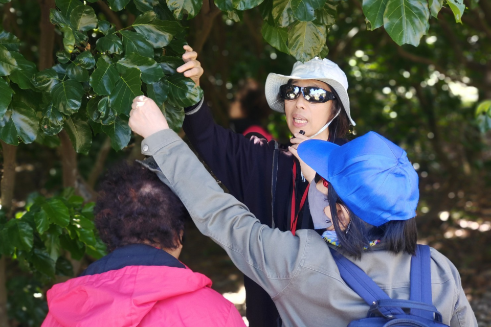 生態導覽安排導覽員郭美慧帶領大小朋友們，細細漫遊新北市美術館園區，尋找棲息在此的動植物們