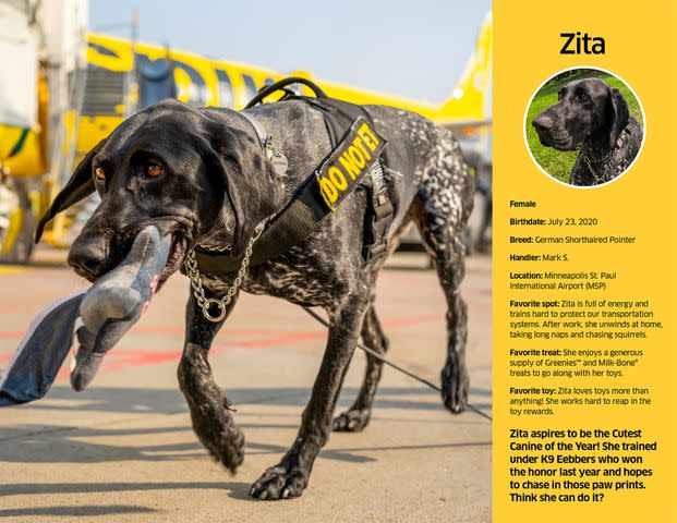 <p>The Transportation Security Administration</p> Zita from TSA's 2024 Canine Calendar