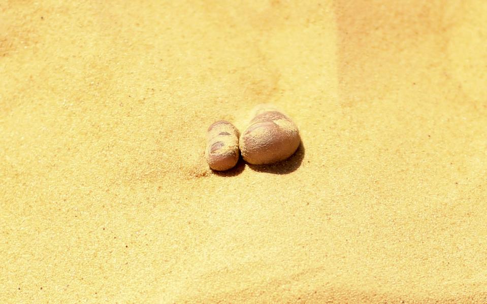 Wider Image: The Hot Sand Baths of Siwa