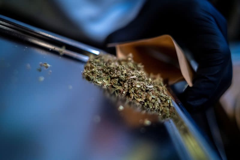 A staff member prepares cannabis at the RG420 cannabis store, at Khaosan Road, one of the favourite tourist spots in Bangkok