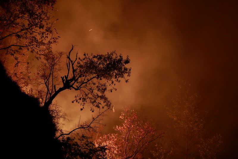 Forest fires contribute to air pollution in Nepal