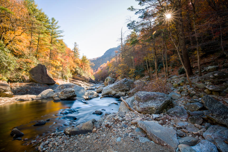 A serene mountain stream in North Carolina flows through a rocky forest landscape with trees, some turning in autumn hues, under a sunny sky