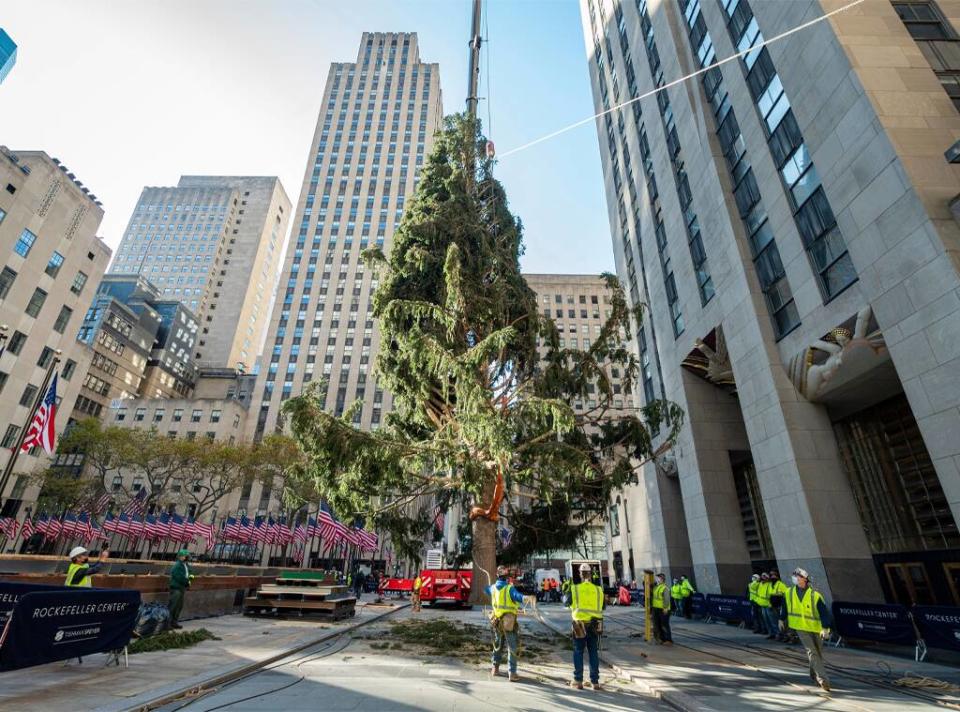 Rockefeller Center Christmas Tree, 2020, 30 Rock