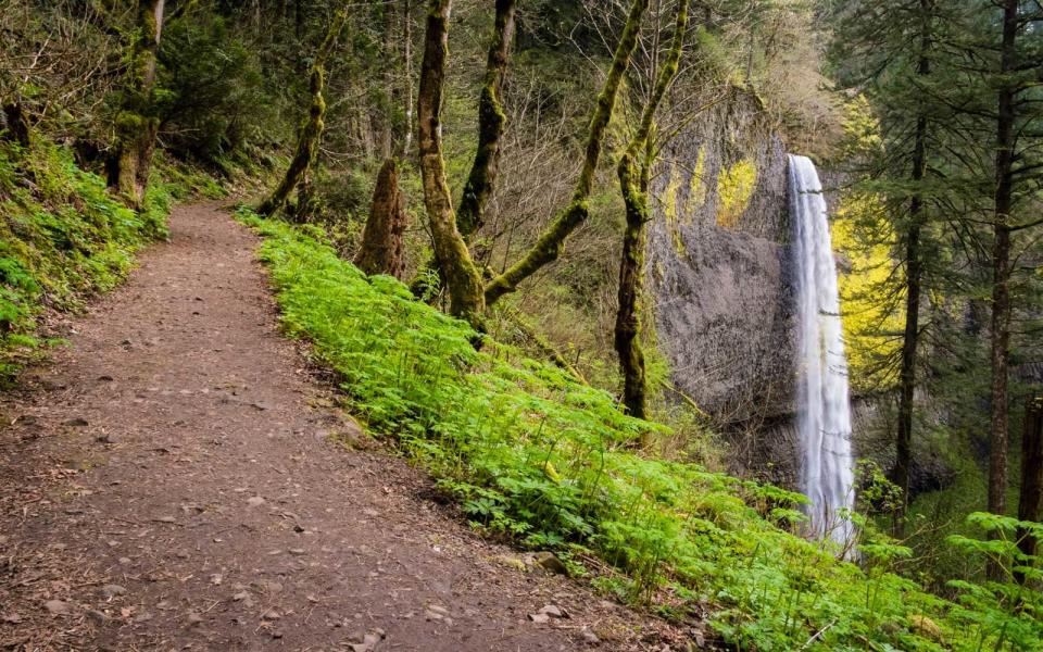 Latourell Falls: Oregon