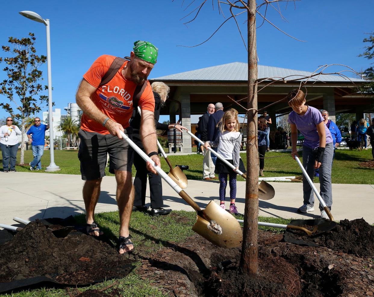 People put shovels full of dirt on the roots of a pond cypress being planted during an Arbor Day celebration at Depot Park in Gainesville.