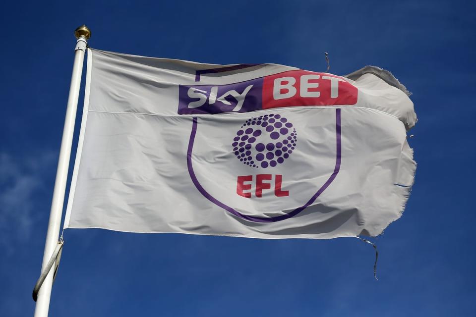 EFL chief executive Trevor Birch feels extra content can only enhance fans’ viewing experience (Mike Egerton/PA) (PA Archive)