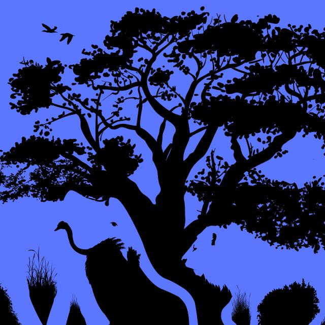 Can you see the hidden animal in this optical illusion?