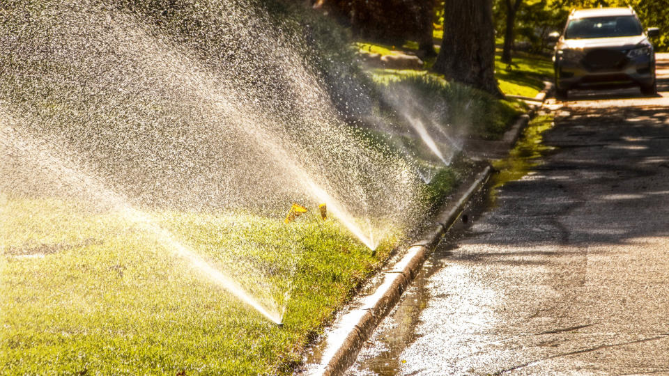 Sprinkler systems watering a lawn  with water running off into the road