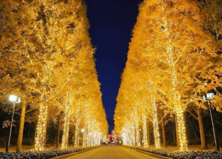 Kansai’s Top 5 Winter Illumination Spots for 2019-2020