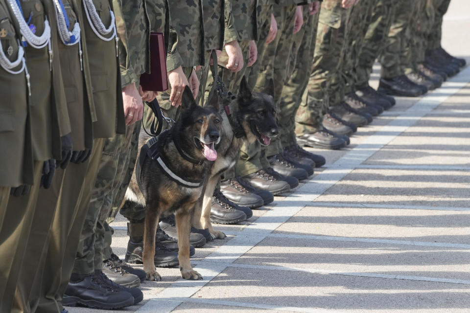 Polish army dogs and their handlers are seen during a ceremony in Nowy Dwor Mazowiecki, Poland, Friday, Sept. 6, 2024. (AP Photo/Czarek Sokolowski)