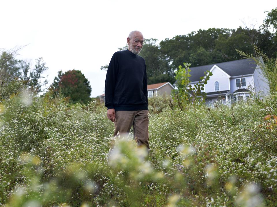 Professor Thomas Doughton walks through White Woodland Aster at the parcel off Ellie Way near the College of the Holy Cross Thursday, Sept. 23, 2021.  GWLT and the local Nipmuc community, in collaboration with students at Holy Cross, preserved a very small site with a lot of colonial history.