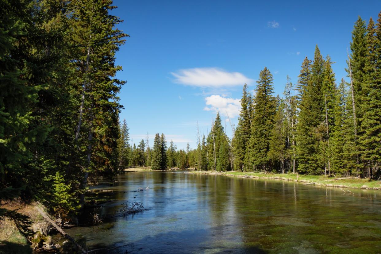 Henry's Fork of the Snake River, Idaho