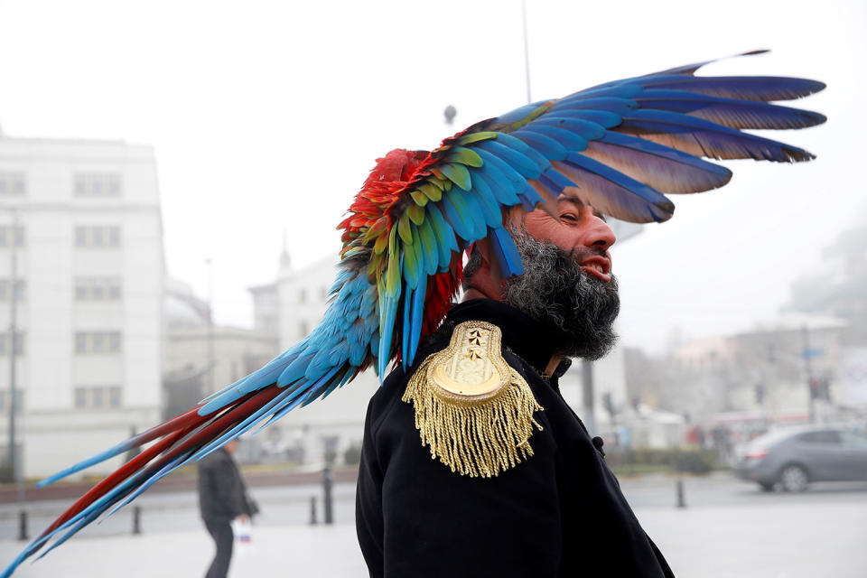 Life with a parrot in Istanbul