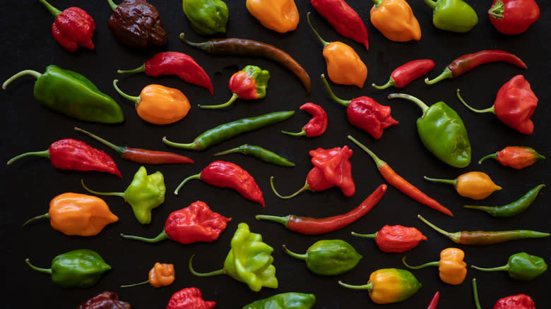 Selection of colorful hot peppers