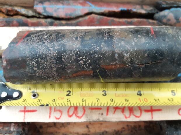Rare earth elements biotite, pegmatite and monazite were found together in the Alces Lake area near Uranium City, Sask.  (Submitted by Appia Energy Corporation - image credit)