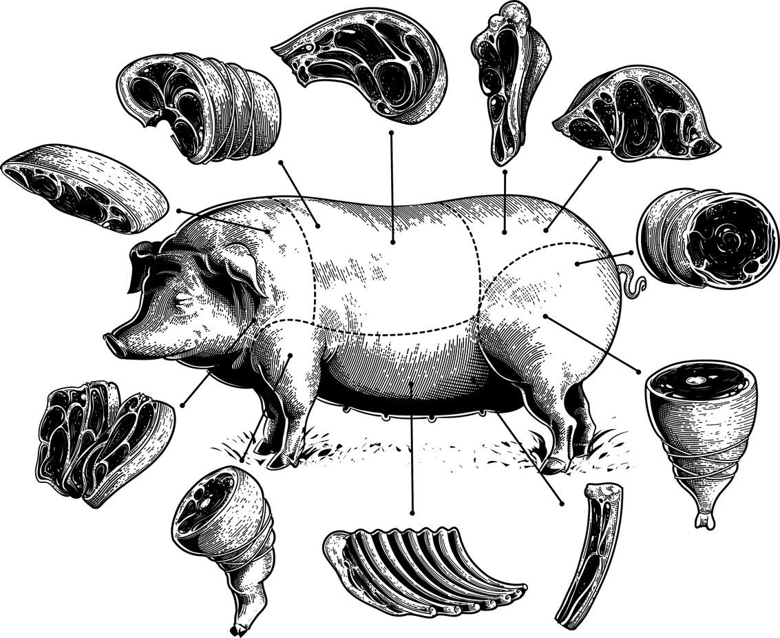 diagram showing cuts of pig