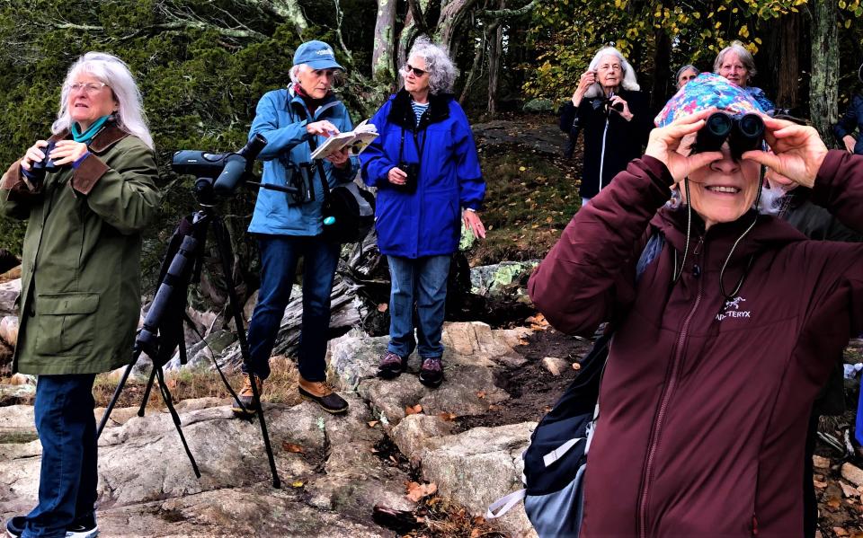 Sally Avery, of Cohasset, second from left, points out different features in a guidebook to seniors taking her course, The Joy of Birding, at the Duxbury Senior Center.