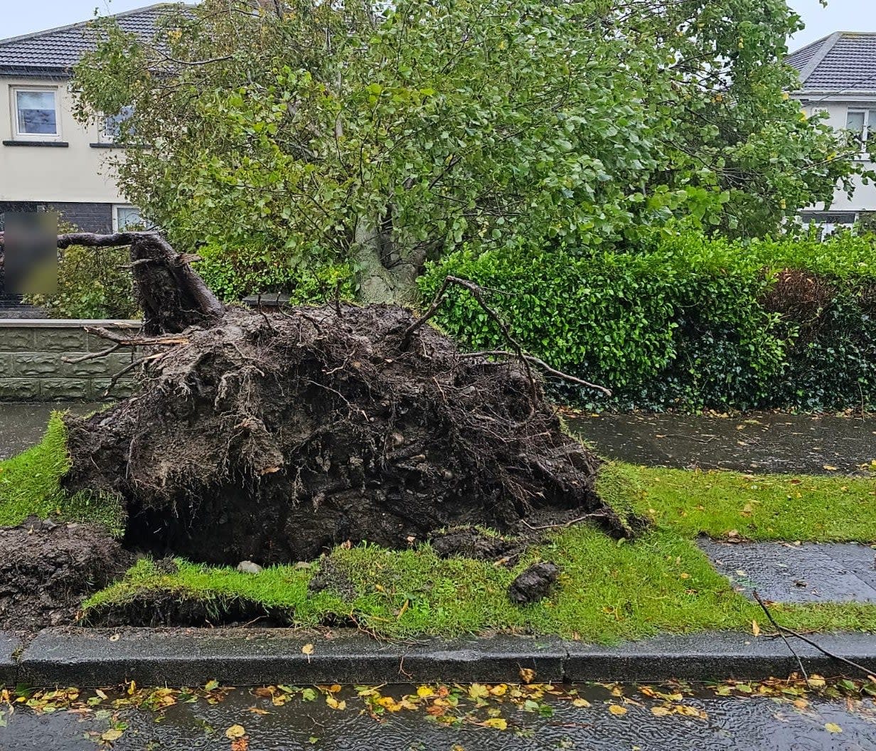 Kilbarrack fire station deal with a downed tree in Dublin (PA)