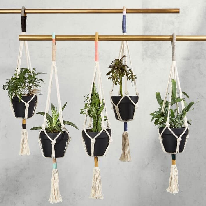 It would be a crime to disguise these woven plant hangers inside some flimsy tissue paper. Instead, snag a succulent or an air plant, and showcase the intricacies of this beautiful gift. <strong><a href="https://www.westelm.com/products/lcl-yerbamala-designs-plant-hangers-colorblock-w2814/" target="_blank" rel="noopener noreferrer">Get them at West Elm</a></strong>.