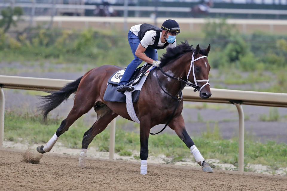 FILE - In this Thursday, June 18, 2020, file photo, Belmont Stakes hopeful Dr Post works out on a track at Belmont Park in Elmont, N.Y. Dr Post, runner up in the Belmont Stakes, is one of the favorities in Saturday's July 18 Haskell Stakes horse race at Monmouth Park Racetrack in Oceanport, N.J. (AP Photo/Seth Wenig, File)