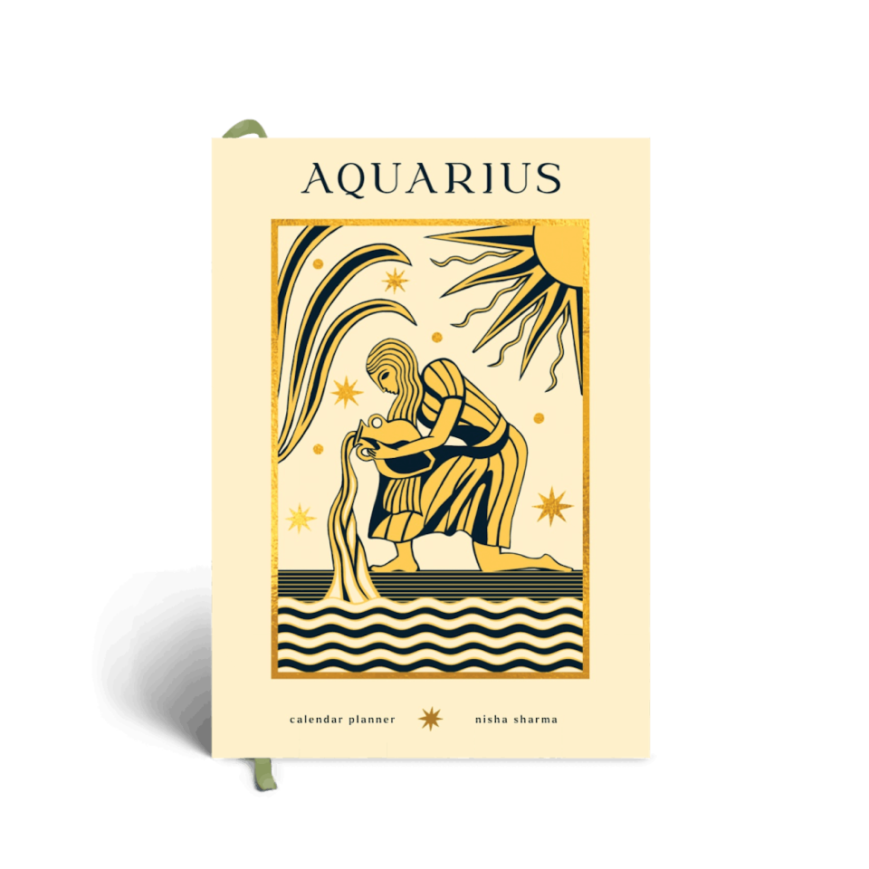 23) Aquarius Foiled 2023 Planner