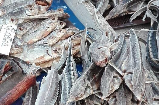 A pile of sturgeon is being sold at a fish market in Eastern Europe. Photo by George Caracas/World Wildlife Fund