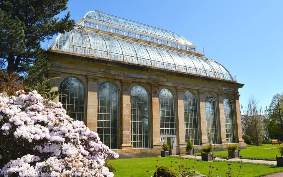 Locals flock to the Royal Botanic Garden Edinburgh on sunny days for picnics among the flora