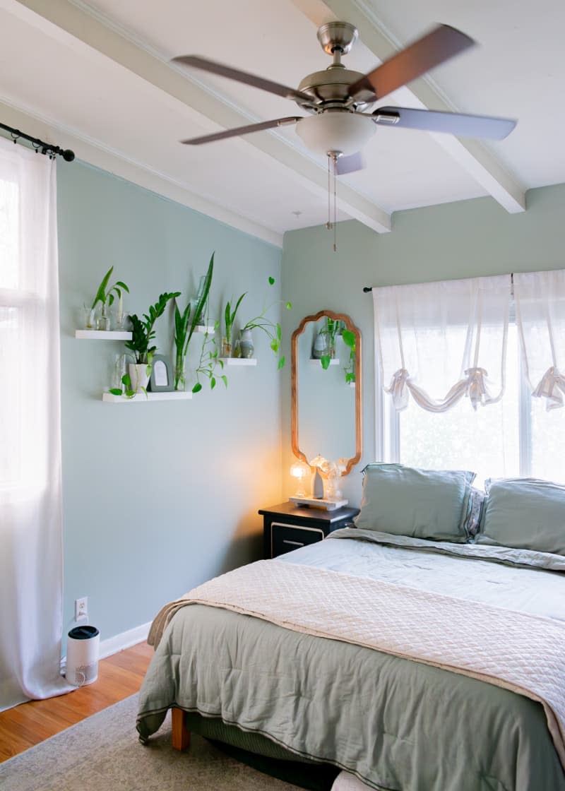 Green bedroom with large mirror, shelves with plants, and ceiling fan.