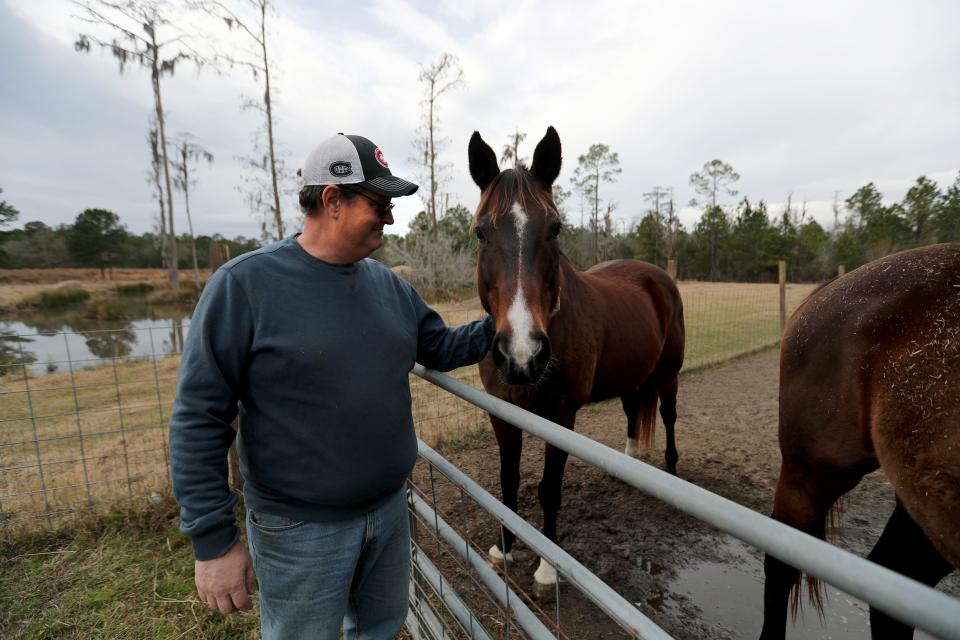 Robert Lodge checks in on his horses at his Bryan County farm, which is located near Pembroke, Georgia.