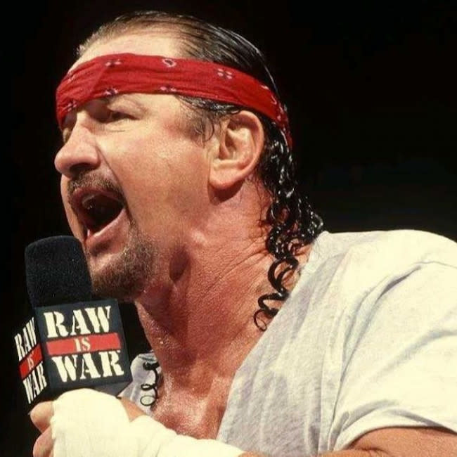 Terry Funk credit:Bang Showbiz